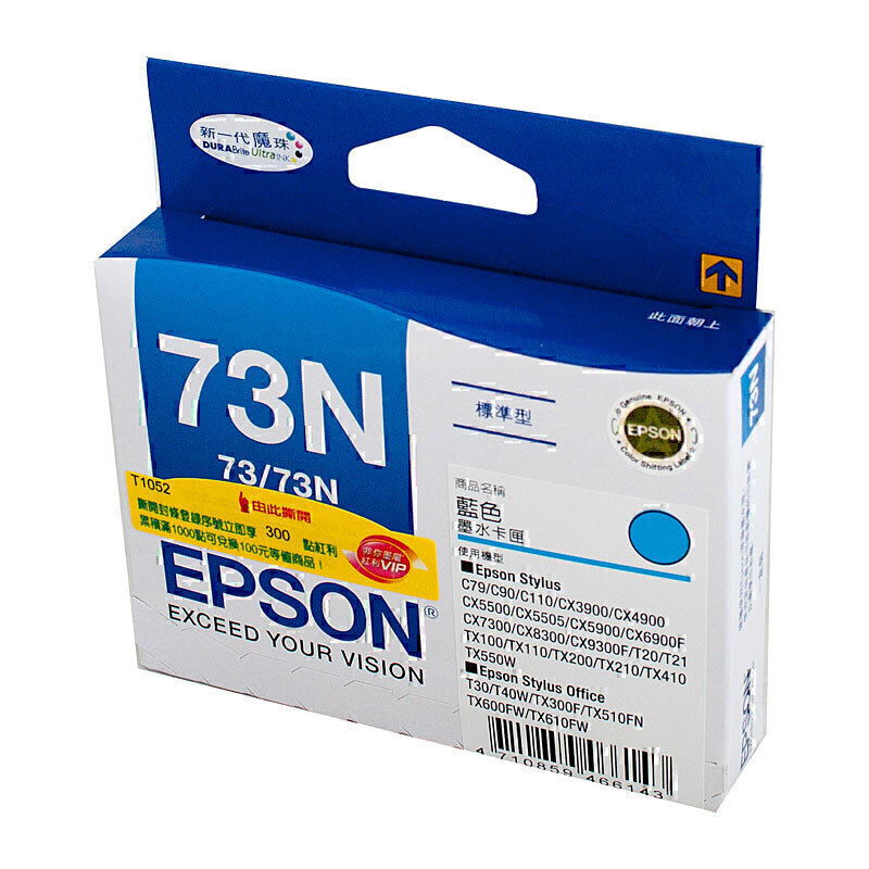 Epson 73N Cyan Ink Cart 2