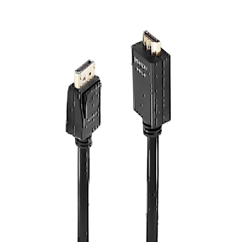 Lindy 1m DP-HDMI 10.2G Cable 2