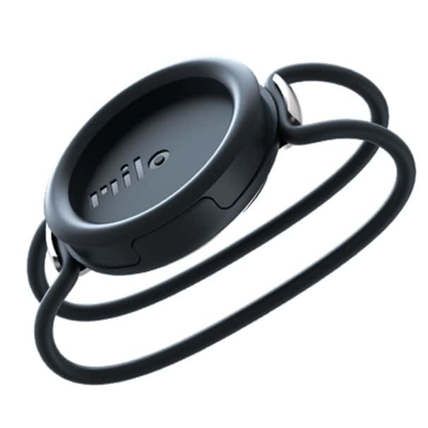 Action Clip 1 Action Clip