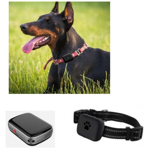 A21 Waterproof Pet tracker 1 A21 Waterproof Pet tracker