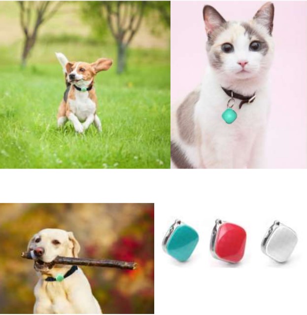 A9 pet tracker 1 A9 pet tracker