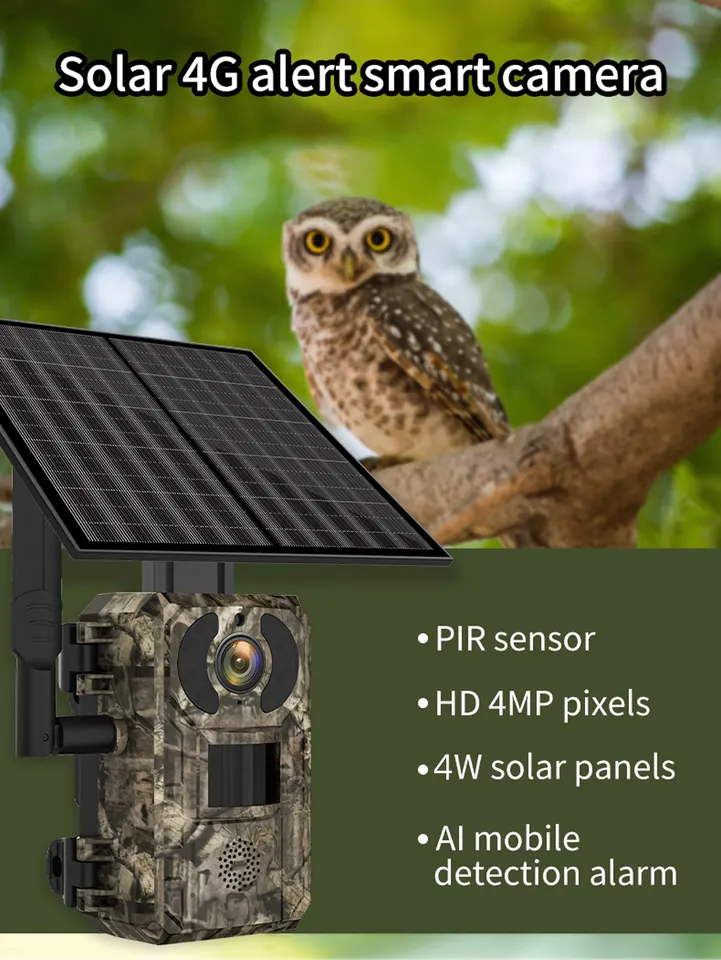 2K Australia 4G Band Infrared LED 0.2s Trigger Time Motion Activation Battery Solar Wildlife Game Camera For Wildlife Monitoring 2 2K Australia 4G Band Infrared LED 0.2s Trigger Time Motion Activation Battery Solar Wildlife Game Camera For Wildlife Monitoring - Image 2