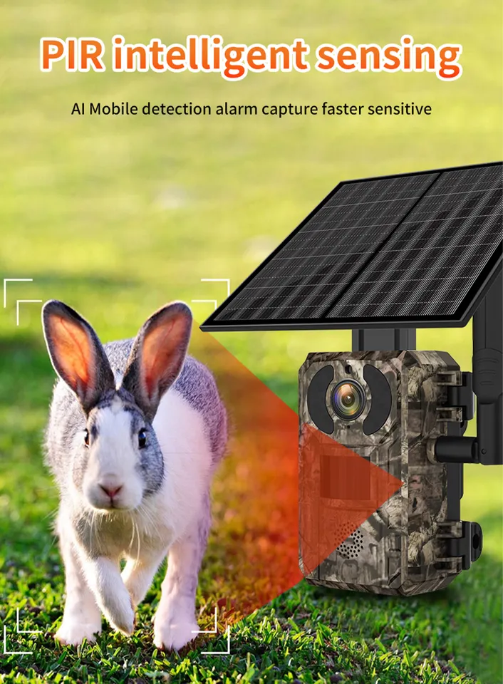 2K Australia 4G Band Infrared LED 0.2s Trigger Time Motion Activation Battery Solar Wildlife Game Camera For Wildlife Monitoring 5 2K Australia 4G Band Infrared LED 0.2s Trigger Time Motion Activation Battery Solar Wildlife Game Camera For Wildlife Monitoring - Image 5