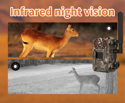 Field Observe Animals 4MP AU 4G 0.2S Fast Trigger PIR Motion Detection Battery Solar Wildlife Game Camera For Trail Hunting 3