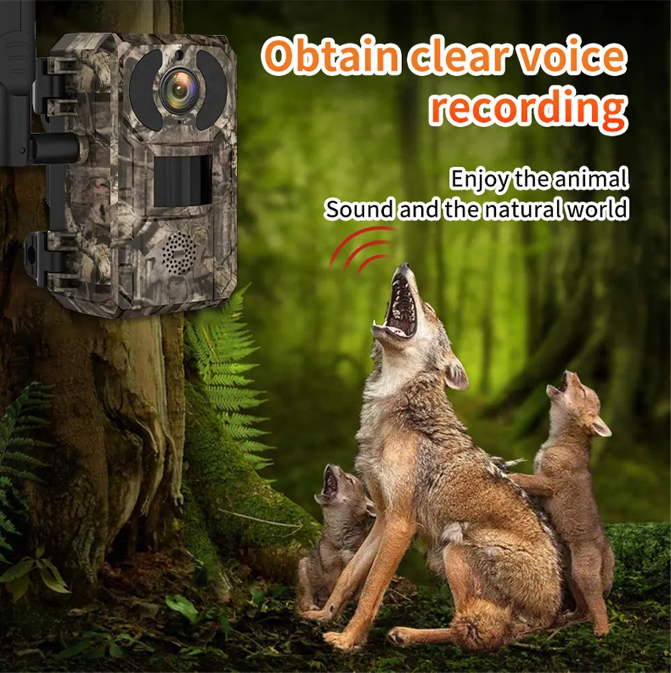 AU Ip66 Waterproof Hunting Camera 7800Mah Battery Two Way Speak Trail Gaming Camera For Outdoor Wildlife Cam With 4W Solar Panel 6 AU Ip66 Waterproof Hunting Camera 7800Mah Battery Two Way Speak Trail Gaming Camera For Outdoor Wildlife Cam With 4W Solar Panel - Image 6