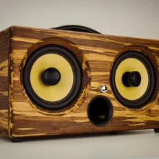 THODIO IBOX™ XC High Density Tiger Stripe Bamboo Speaker- Limited Edition