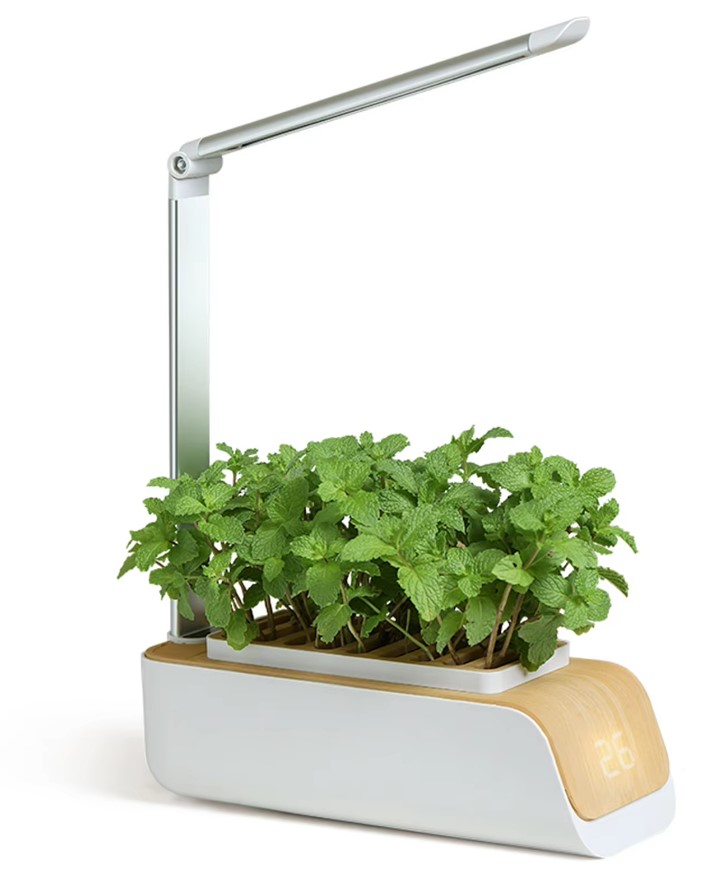 Hydroponics Growing System Indoor Herb Garden Kit with Grow Light Smart Garden for Home and Kitchen Indoor Plant Growing System 1 Hydroponics Growing System Indoor Herb Garden Kit with Grow Light Smart Garden for Home and Kitchen Indoor Plant Growing System